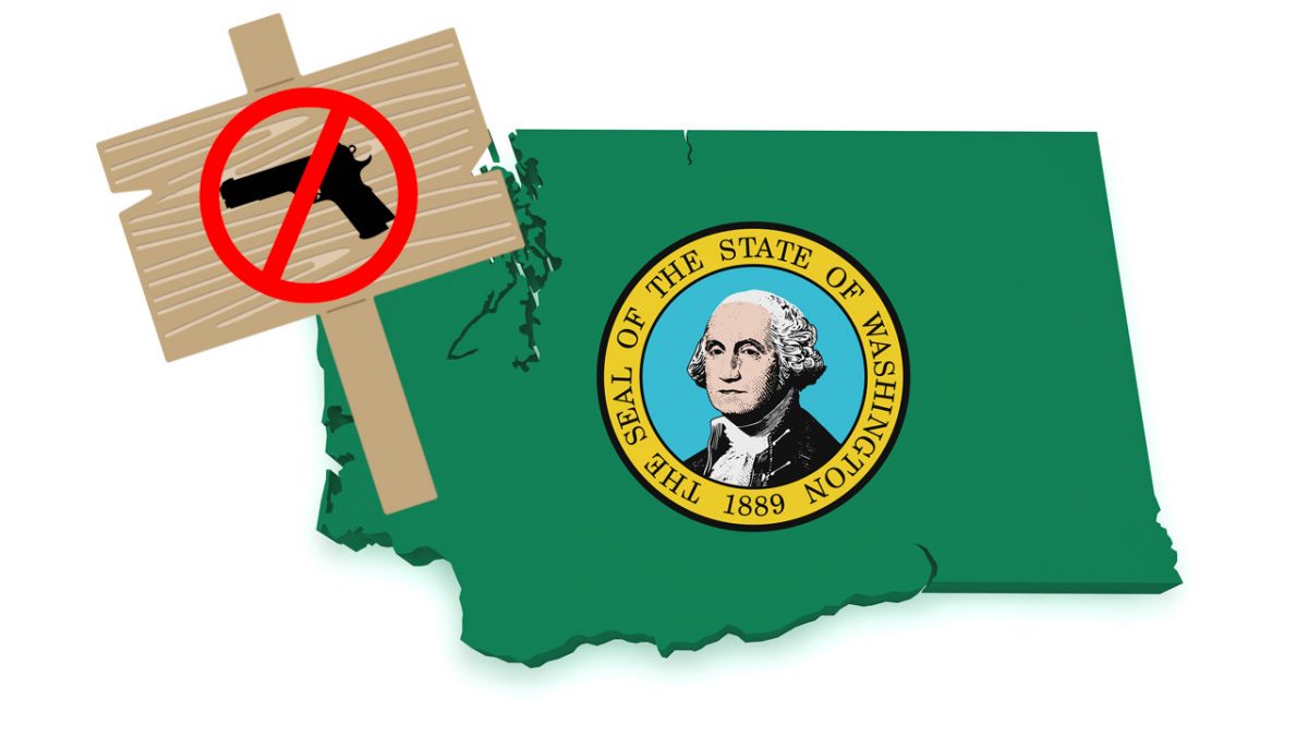 Washington Gun Grabbers Plan 2020 Attack on 2nd Amendment