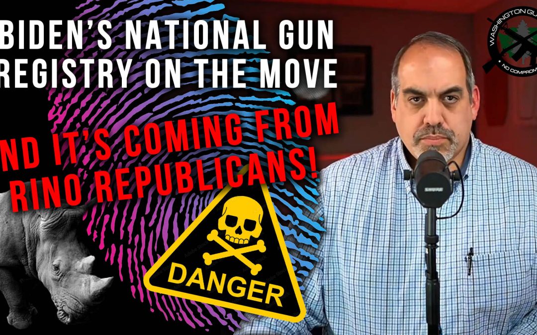 Must Watch Video: GOP Sponsored Gun Control Filed!