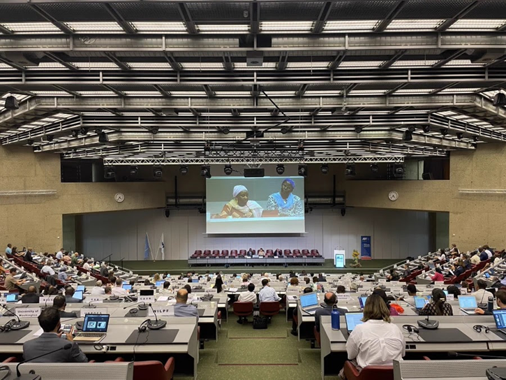 UN Small Arms Treaty — URGENT!