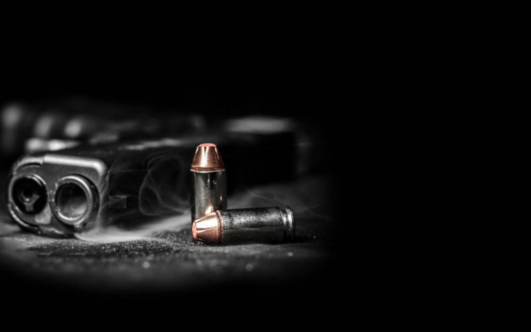Gun Owner Survey: What Do You Think About These Critical 2A Issues In Washington?