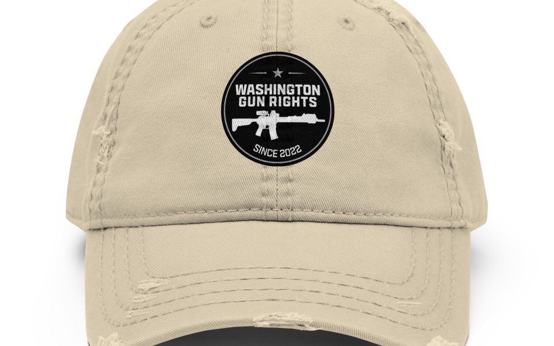 WGR – Distressed Dad Hat